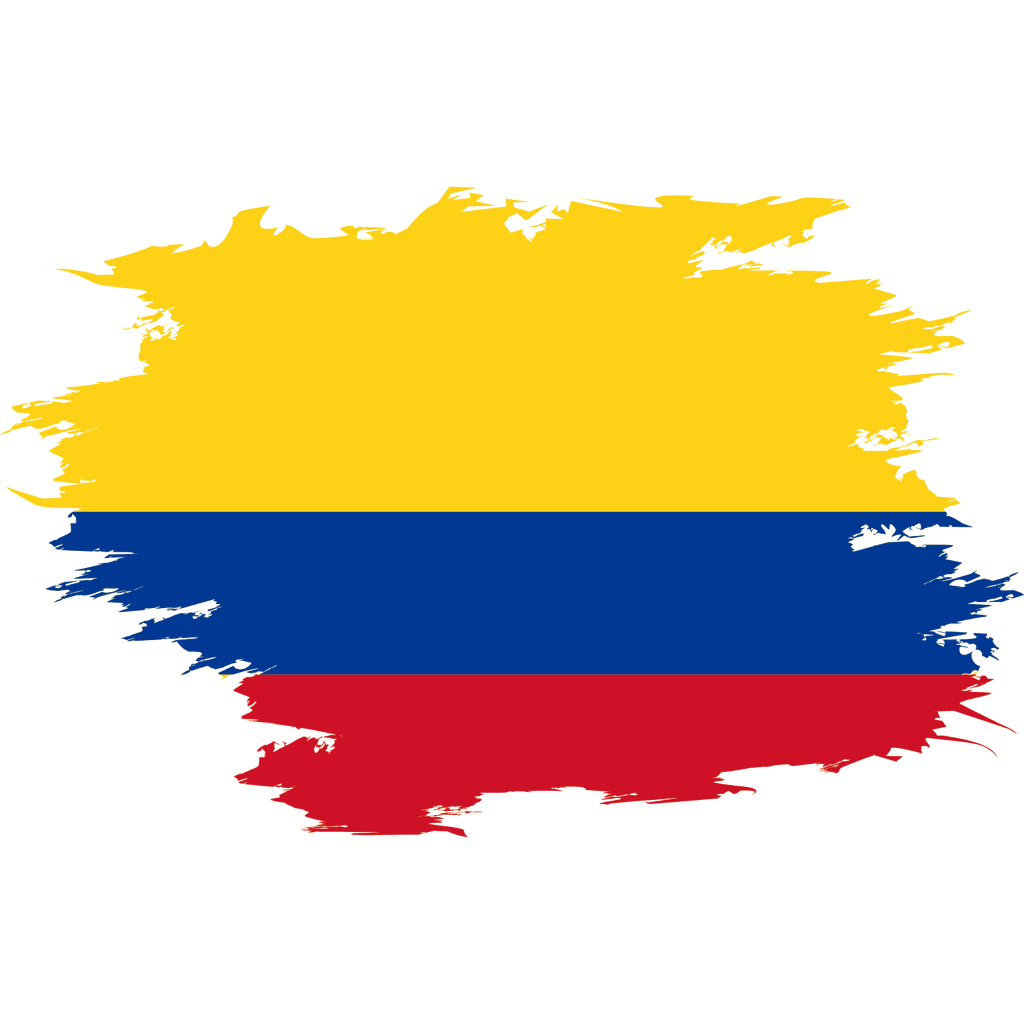 Vintage Colombia Fan Tee