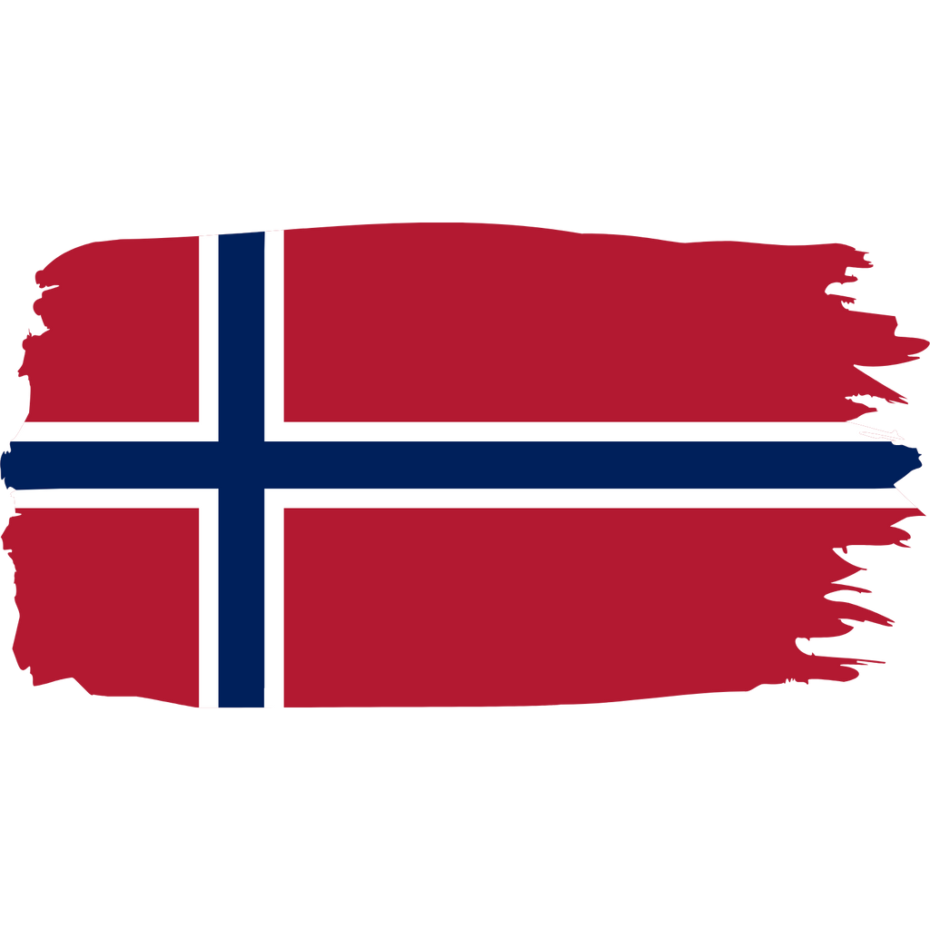 Vintage Norway Fan Tee
