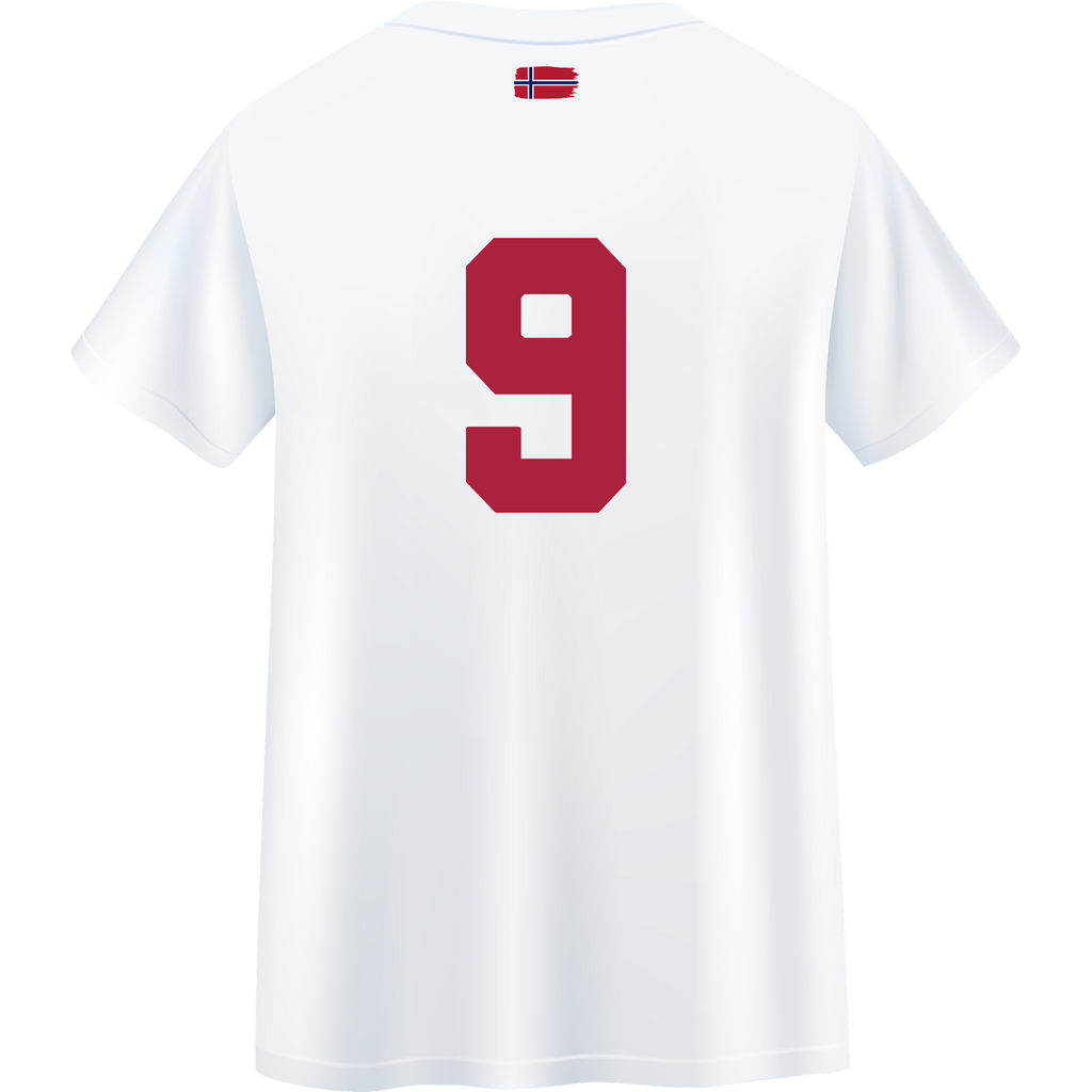 Vintage Norway Fan Tee