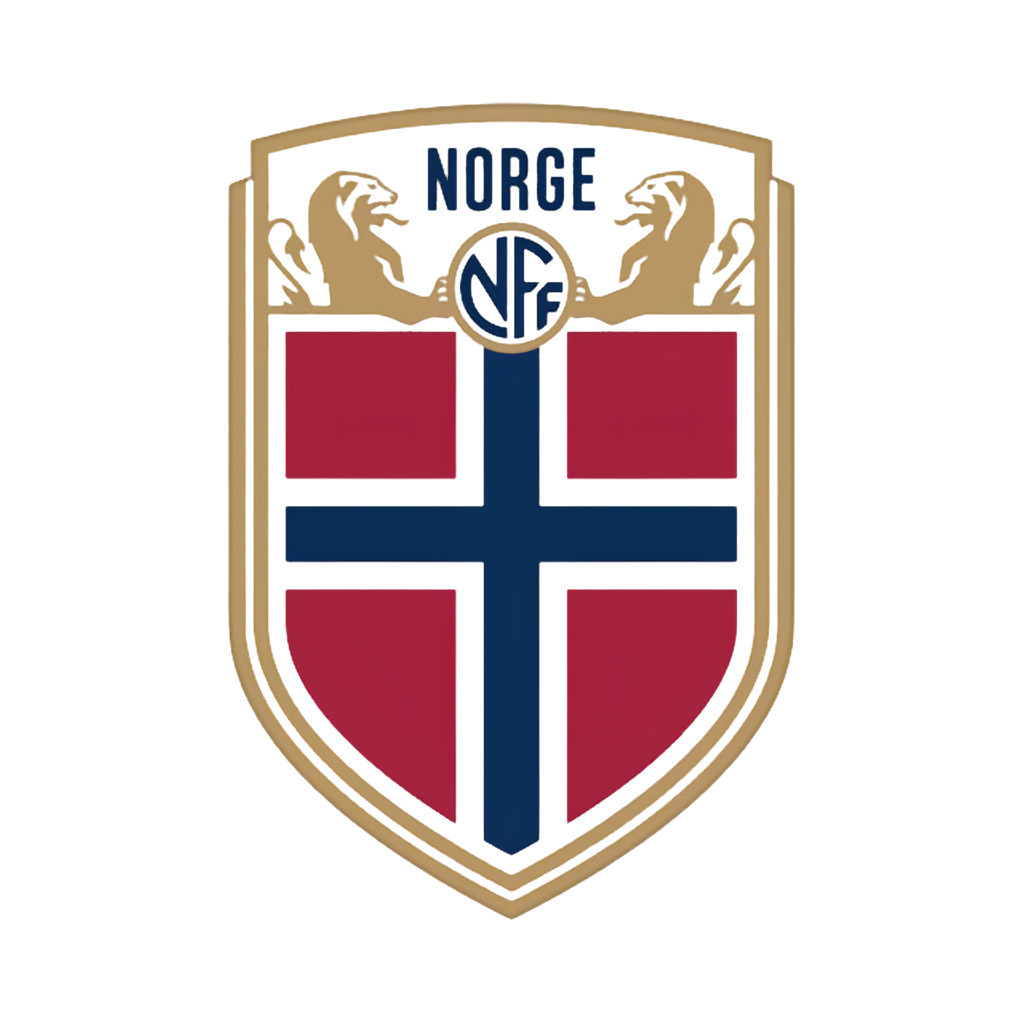Vintage Norway Fan Tee