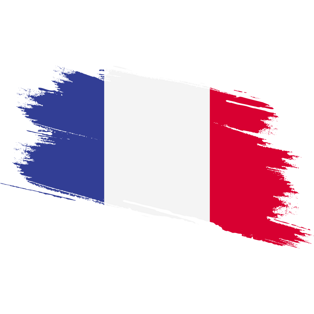 Vintage France Fan Tee