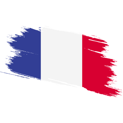 Vintage France Fan Tee