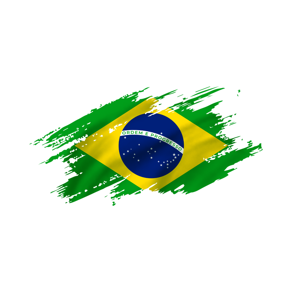 Vintage Brazil Fan Tee