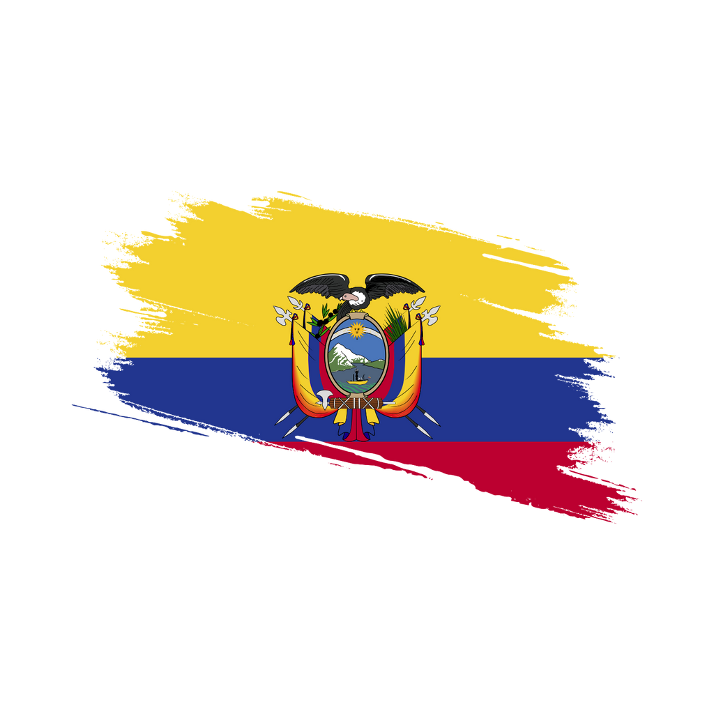 Vintage Ecuador Fan Tee