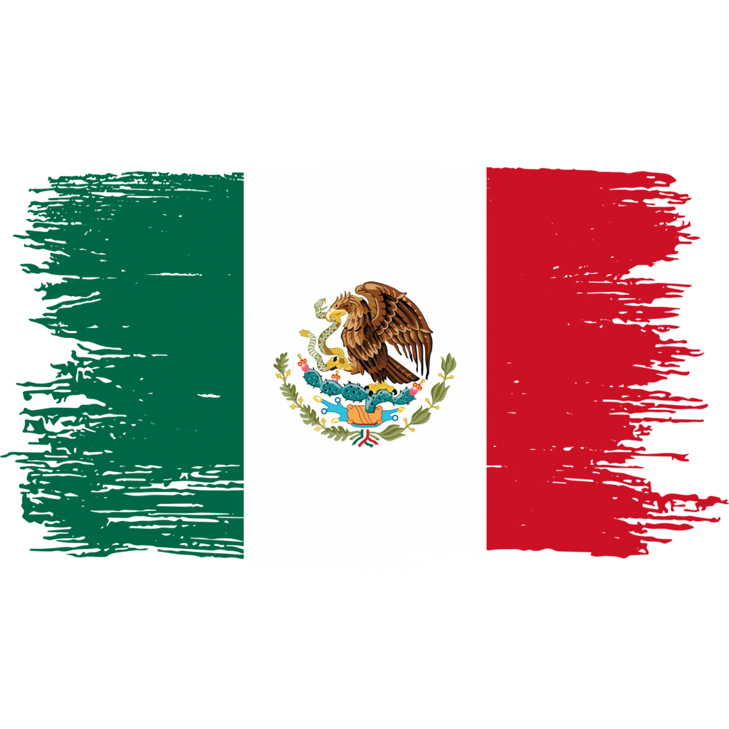 Vintage Mexico Fan Tee